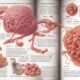 Understanding Cancer Causes Types Diagnosis And Treatment 1789450866 80x80