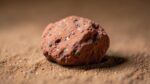 4.1-Billion-Year-Old Martian Meteorite Discovered in the Sahara Desert