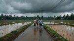 Heavy Rain in Calicut (Kozhikode): Evacuations, Five Dead and IMD Alerts as Kerala Battled Floods