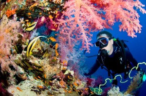 Scuba Diving in Andaman