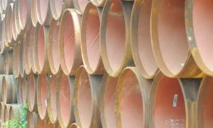 12032172 10207654991915815 1030851643334508934 N