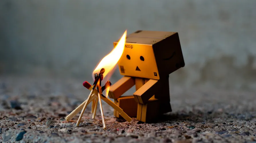 Danbo2