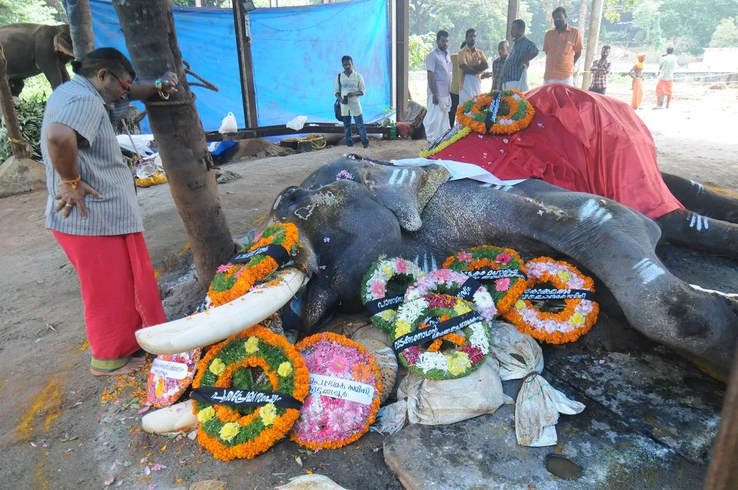 RAJ_0784