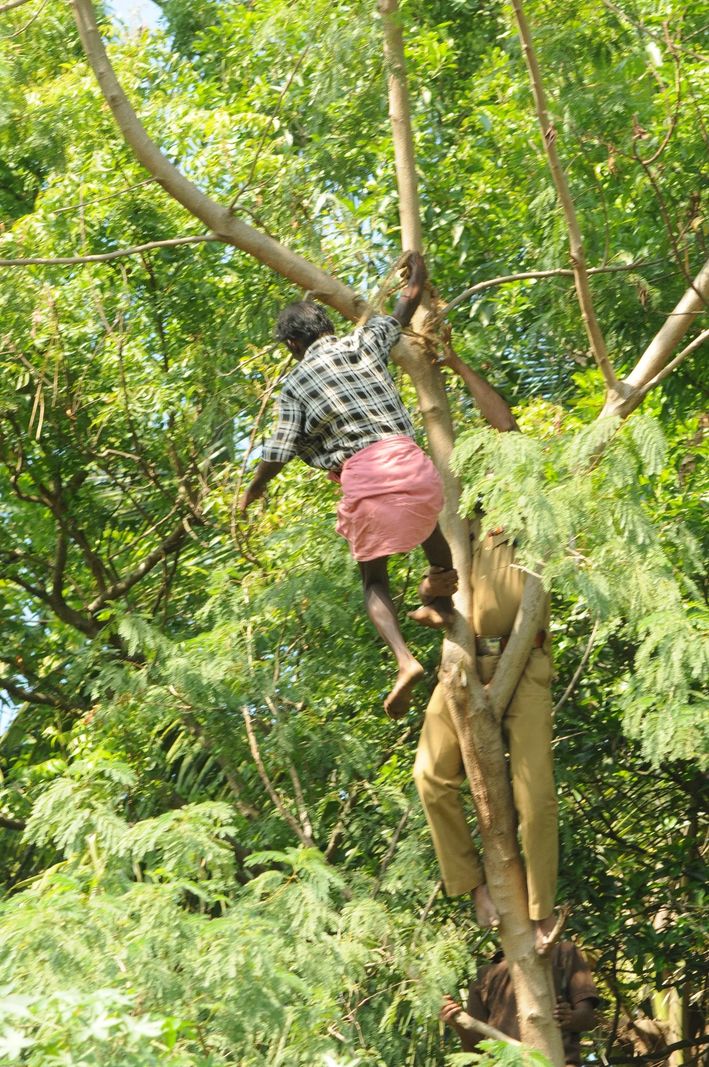 RAJ_2600