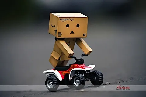 danbo-3-jpg
