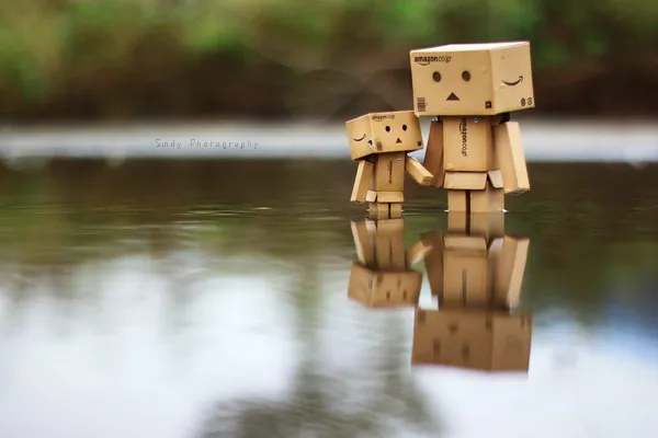 danbo1