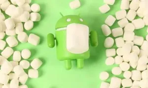 Marshmallow