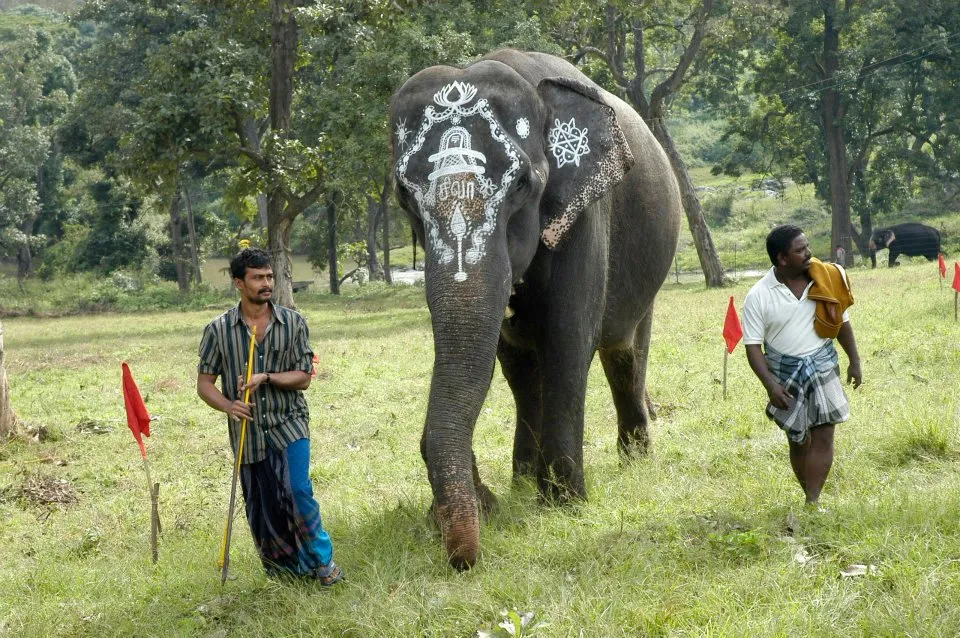 298110_2506055533696_1945258457_n