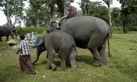 308573 2506058573772 1572343828 N