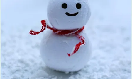 Christmas Snow Man 6