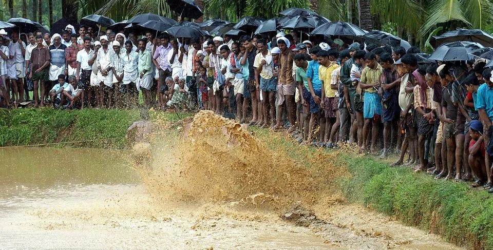 Kalapoottu matsaram 6.