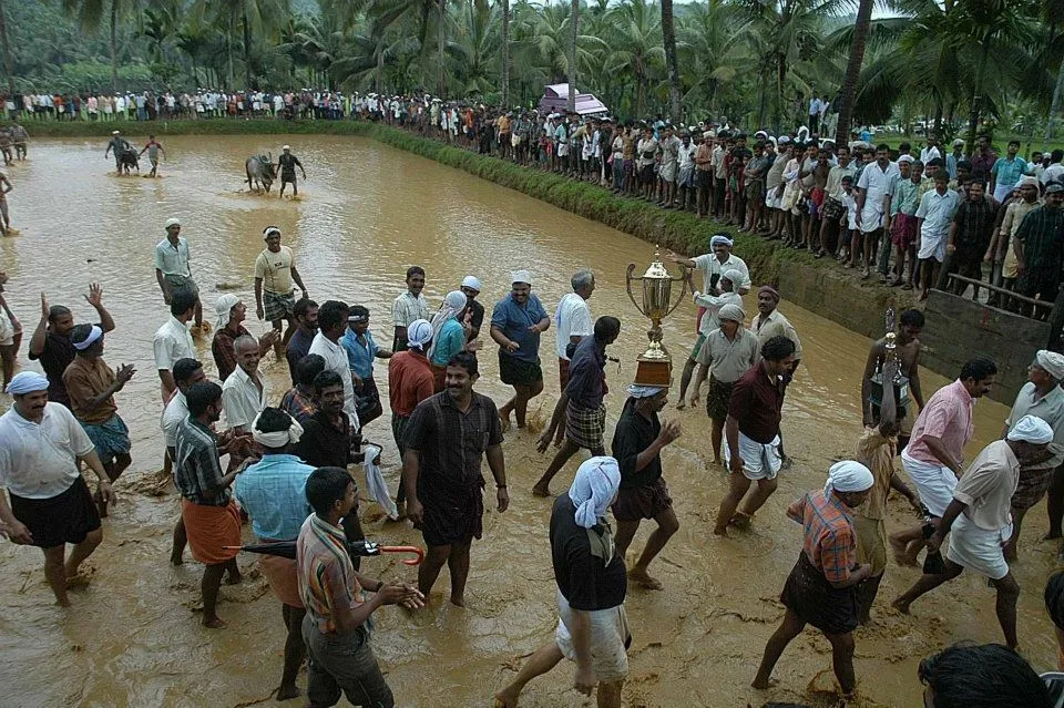 Kalapoottu matsaram0
