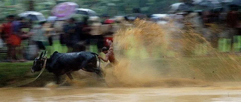 Kalapoottu matsaram9