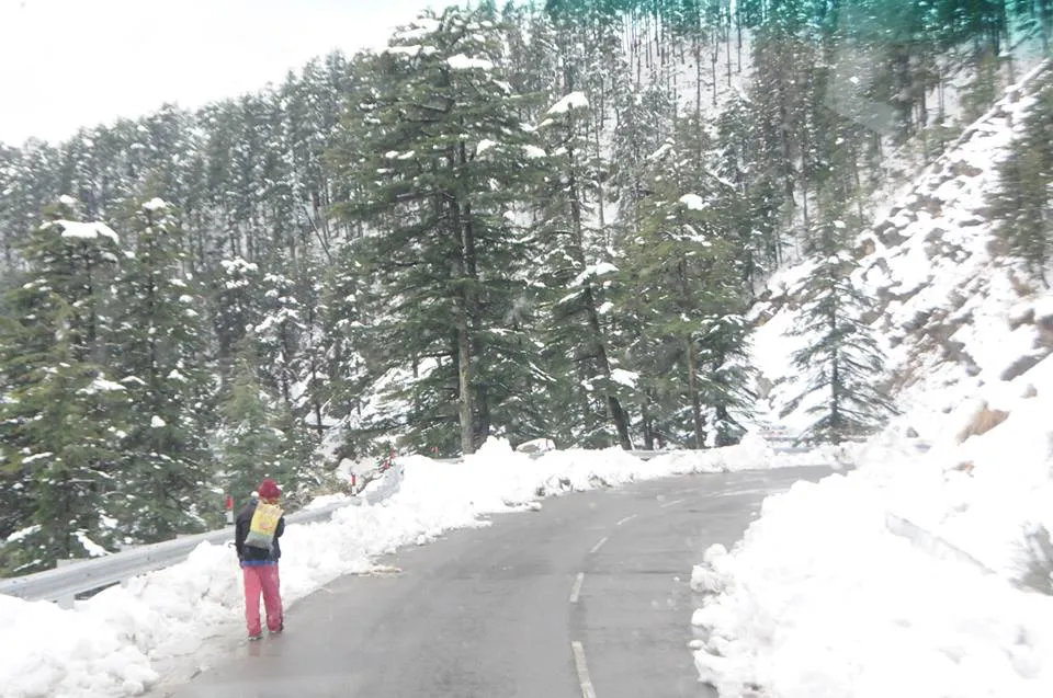 Shimla Kullu Manali gf