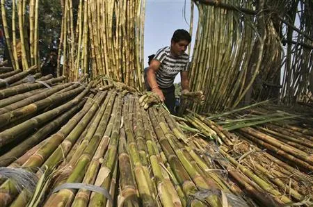 Sugar Industry