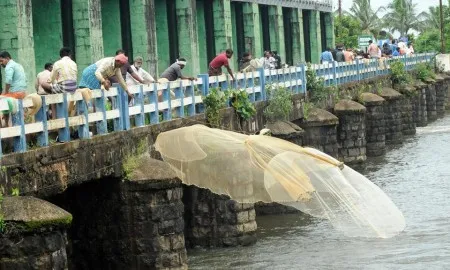 Backwater Fishing In Kanoli