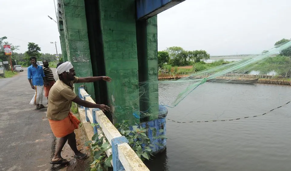 Backwater fishing in Kanoli Kanal k