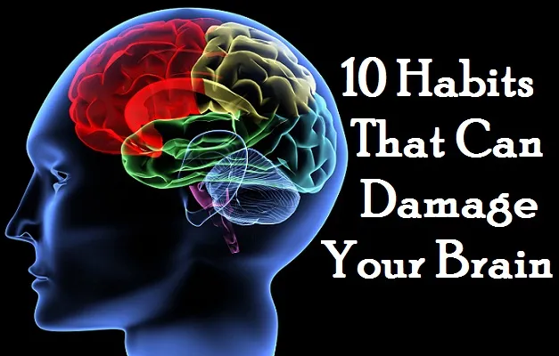 Brain