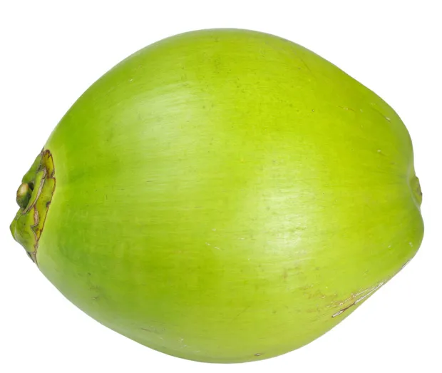Coconut