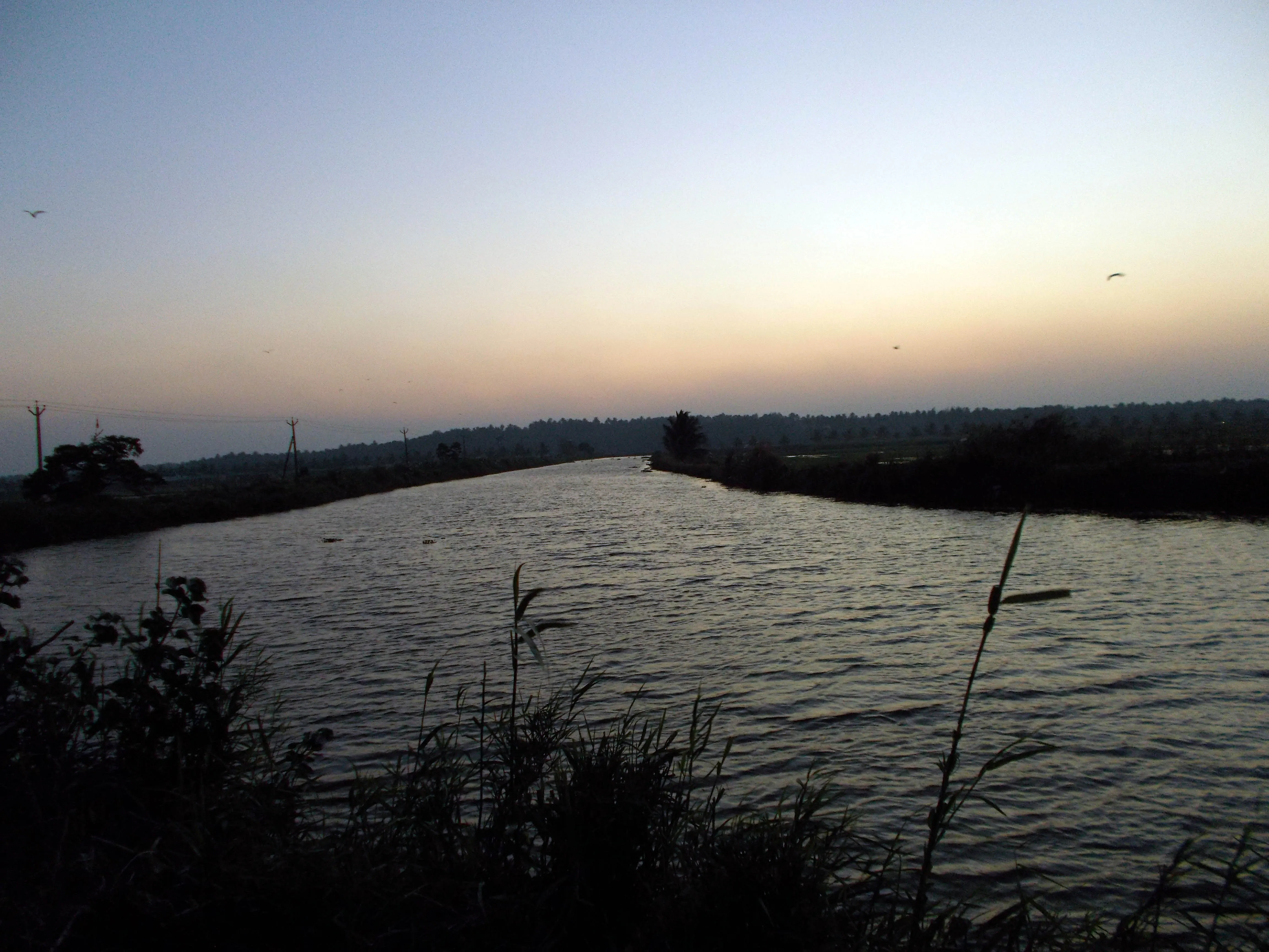 DSCN0234