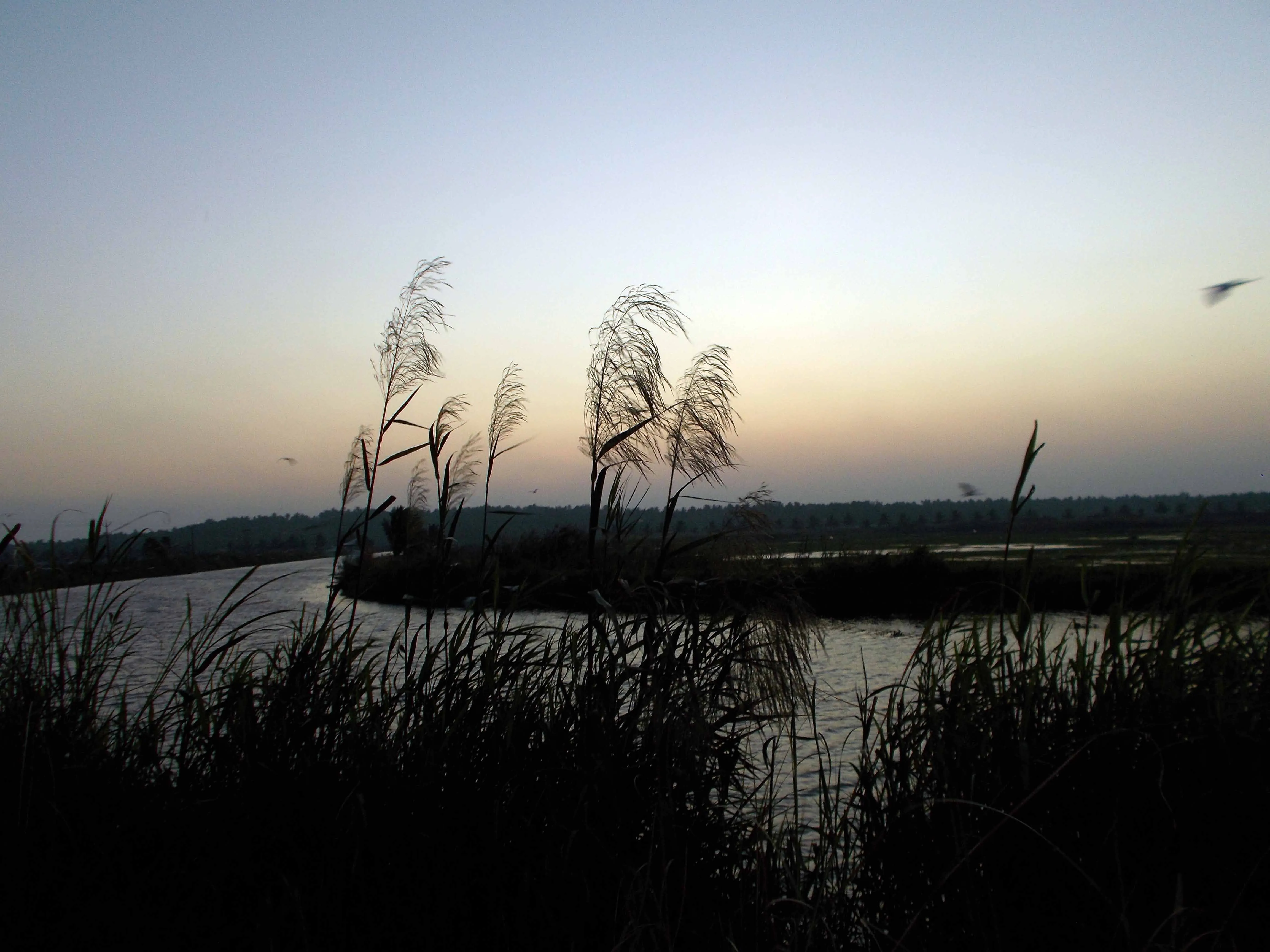 DSCN0241