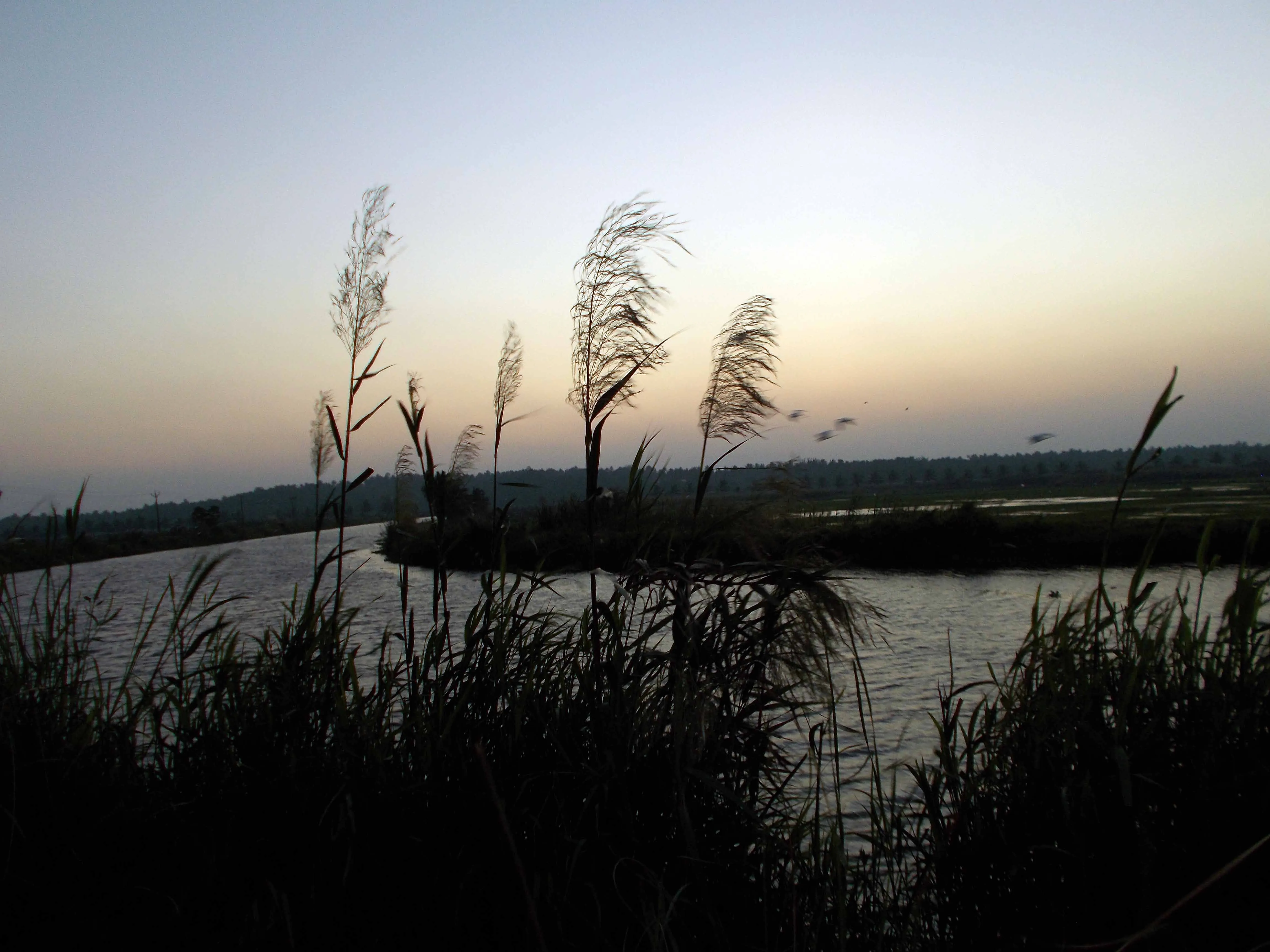 DSCN0242