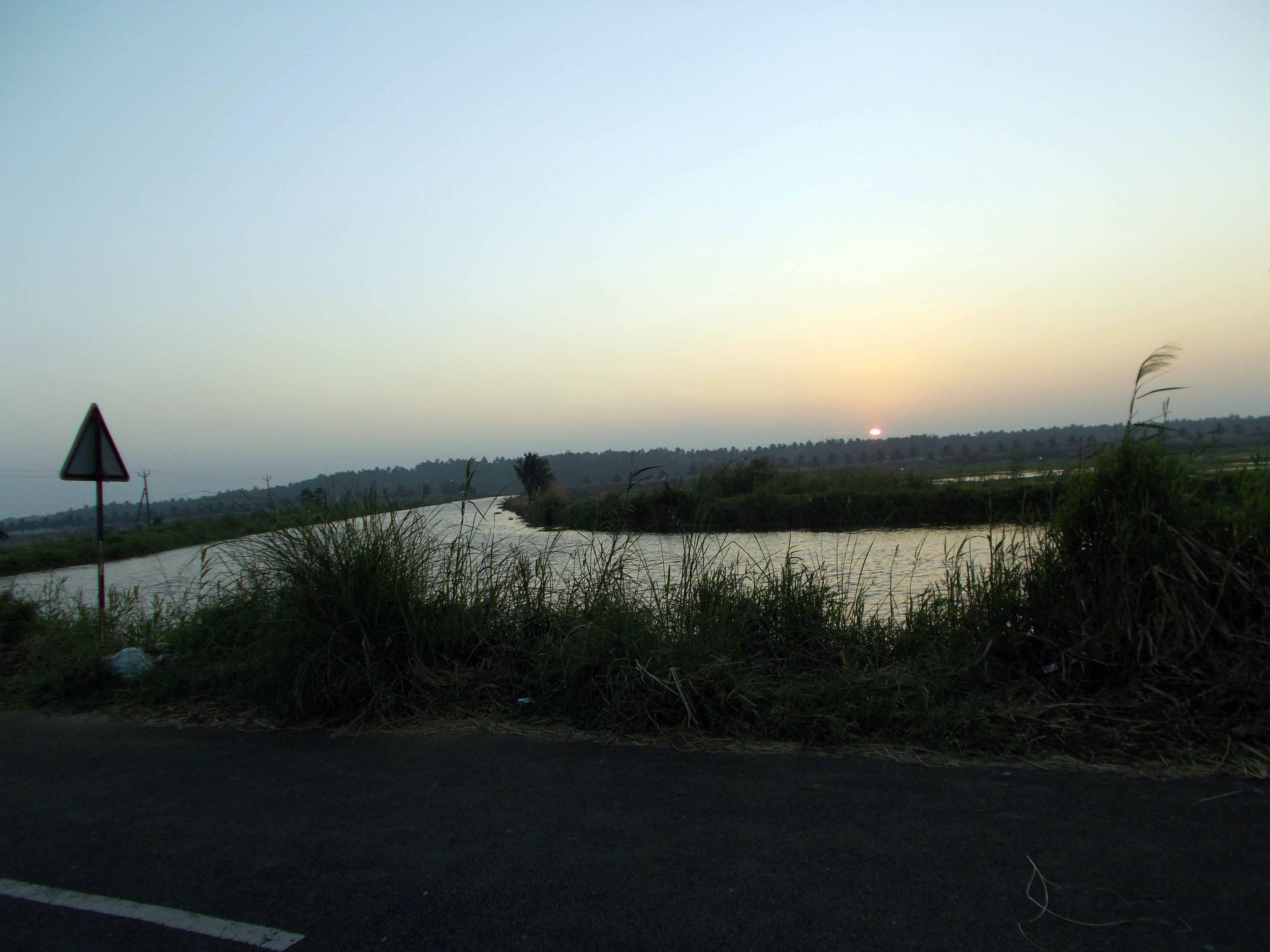 DSCN0249