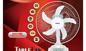 Eveready 10 Inches RF06 Rechargeable Table Fan White