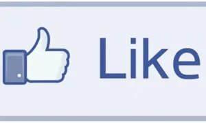 Facebook Like