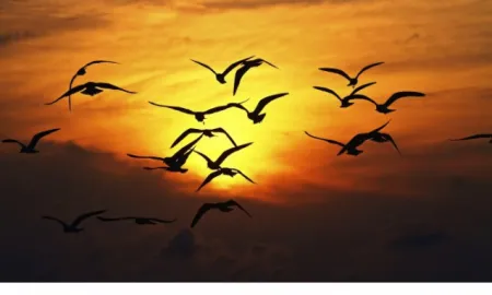 Formulas For Growing Old With Grace