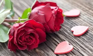 How Lawyers Celebrate Valentines Day