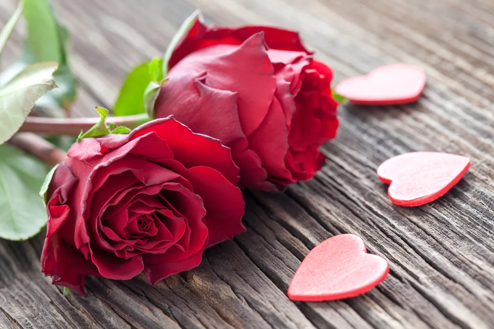 How lawyers celebrate Valentine’s day