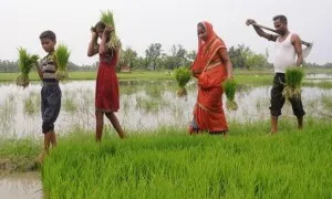 Jharkhand Gets Its First Mega Food Park