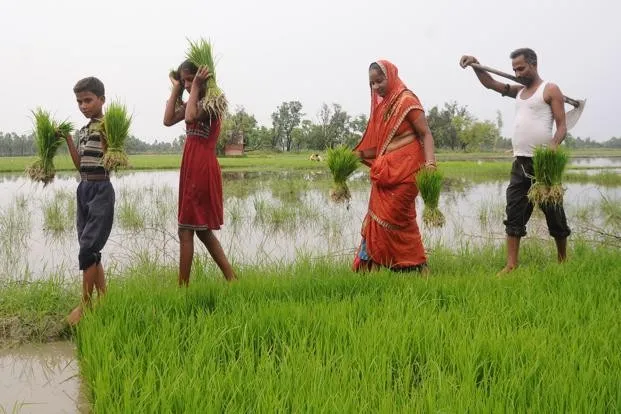 Jharkhand Gets Its First Mega Food Park