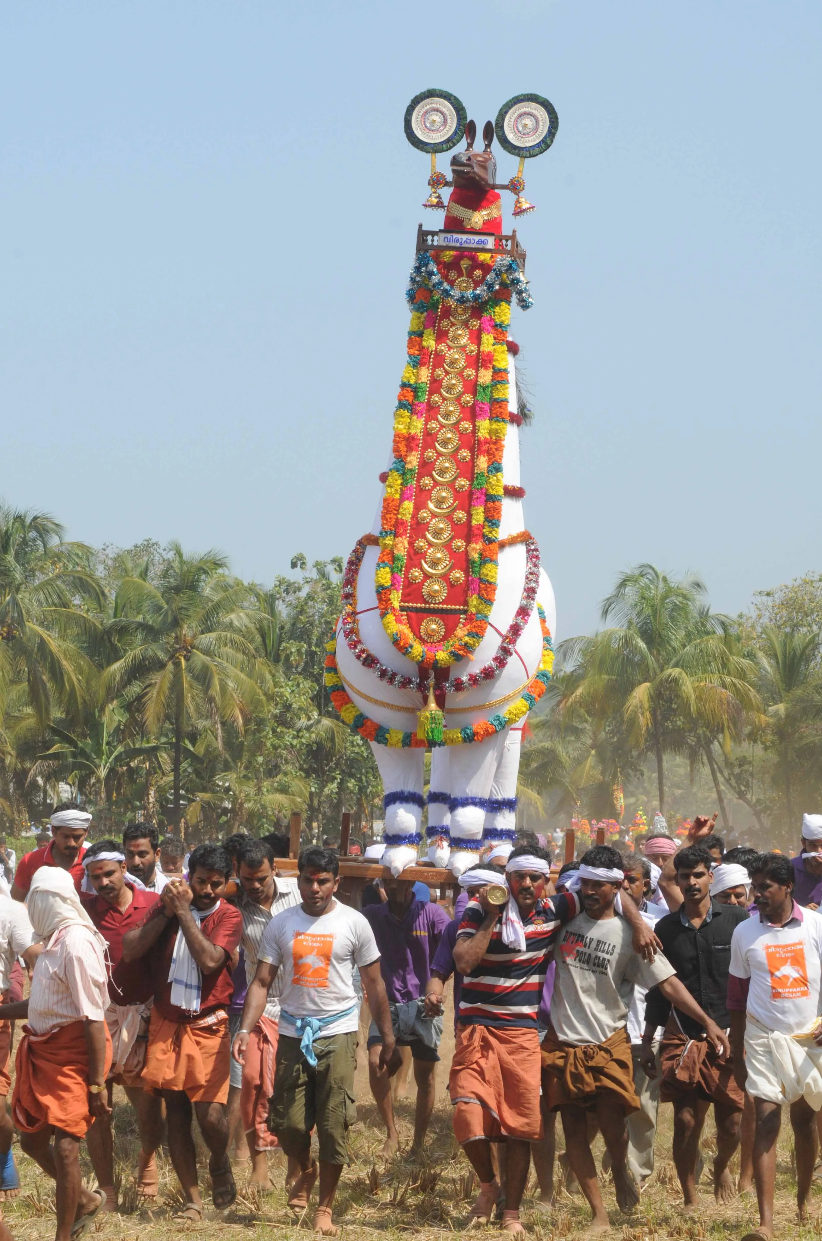 Machad (12)