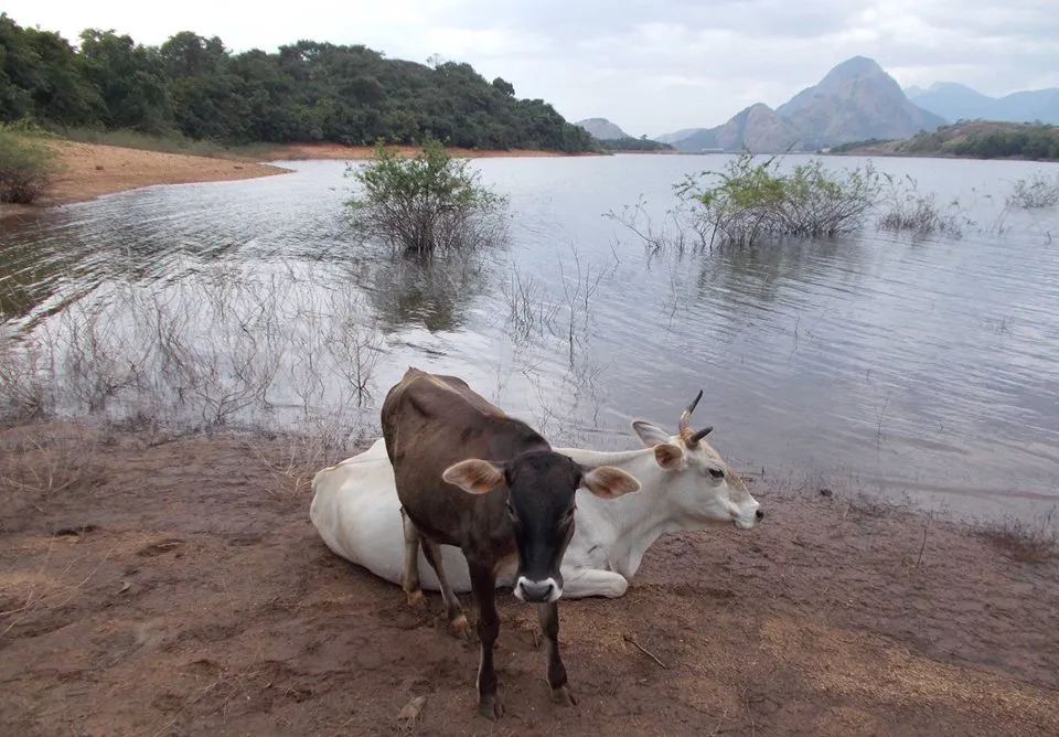 Malampuzha Dam From Kava….