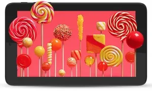 Micromax P290 8GB 3G Through Dongle Black