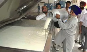 Milk Production In India