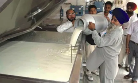 Milk Production In India