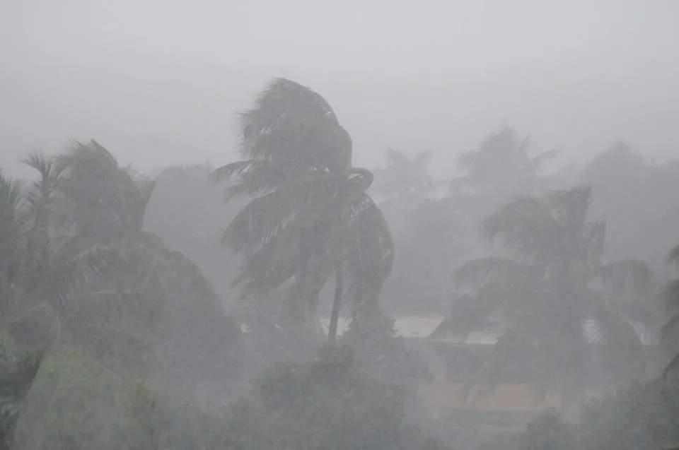 Monsoon pictures in Kerala 1