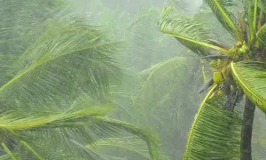 Monsoon Pictures In Kerala