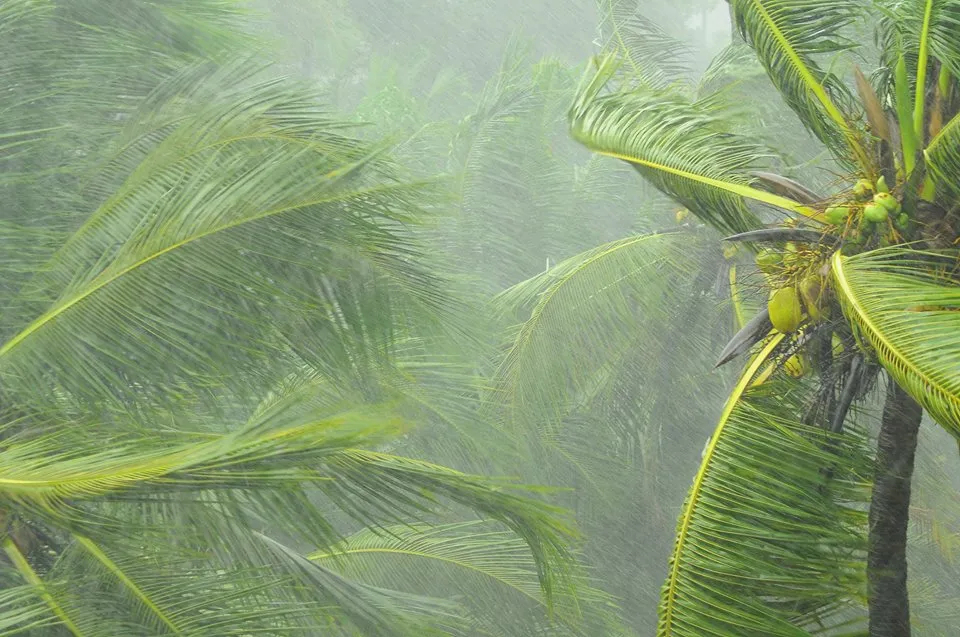 Monsoon Pictures In Kerala