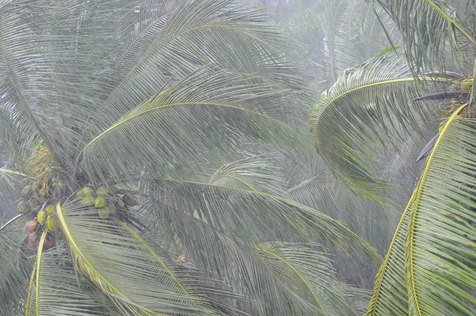 Monsoon pictures in Kerala3