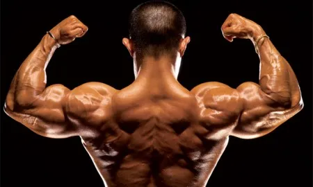 Nourish Your Muscles