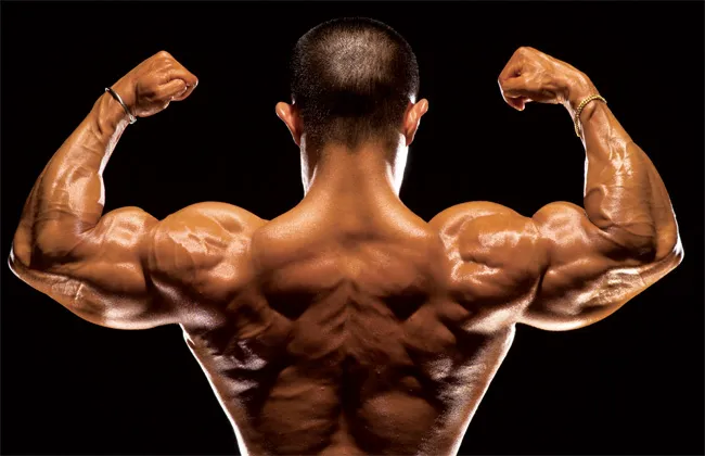 Nourish Your Muscles