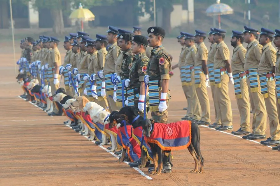 Passing Out Parade of Police Dogs 1