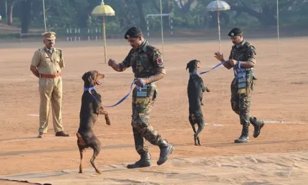 Passing Out Parade Of Police Dogs 5