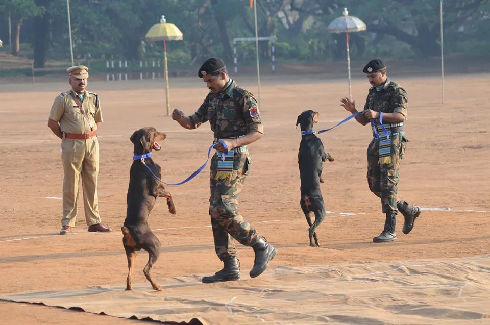 Passing Out Parade Of Police Dogs 5