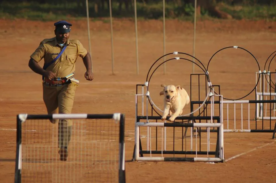 Passing Out Parade of Police Dogs 6