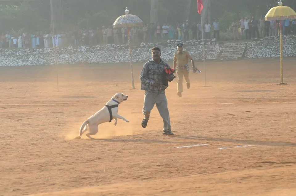 Passing Out Parade of Police Dogs 7